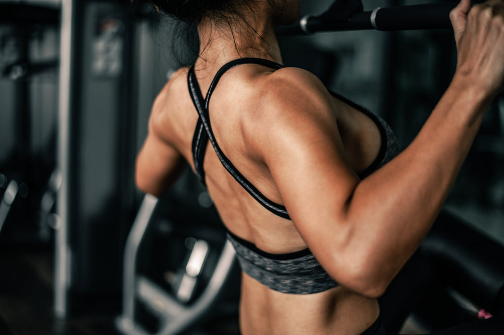 Dumbbell Press